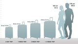 Hartmann Luggage Intensity 30 Inch Mobile Traveler Spinner Suitcase, Black