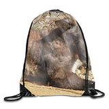 Animal Wallaroo Travel Drawstring Bag Shoe Laundry Underwear Makeup Storage Pouch