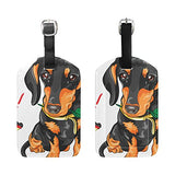 LORVIES Dog Dachshund With Red Rose Luggage Tags Travel Labels Tag Name Card Holder for Baggage Suitcase Bag Backpacks, 2 PCS