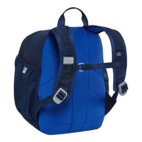 Shop The North Face Youth Sprout Backpack Bri Luggage Factory