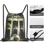 SLDFJLATEE Por-cupine TRE-e Drawstring Backpack/Outdoor Portable Backpack Sports and Fitness Backpack