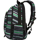 Case Logic Bpca-115 Berkley Plus 15.6-Inch Laptop + Tablet Backpack,Storm