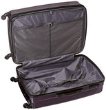 Samsonite Checked-Large, Purple