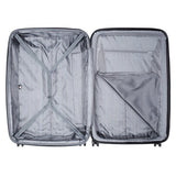 DELSEY Paris Luggage Checked-Large (>28"), Titanium