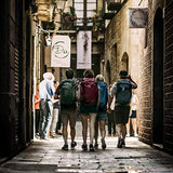 Thule Landmark 40L Women's Travel Pack, Dark Bordeaux