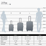 Flieks Luggage Sets 3 Piece Spinner Suitcase Lightweight 20 24 28 inch (Classic Black)