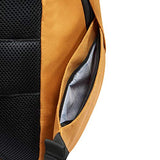 DELSEY Paris Securban Backpack (13.3" Laptop), Yellow