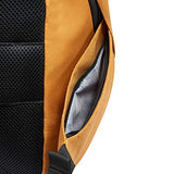 DELSEY Paris Securban Backpack (13.3" Laptop), Yellow