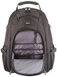 Amazonbasics Travel Laptop Backpack
