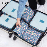 6pcs In One Set travel Bag Cosmetic Toiletry Makeup Bags And Cases Kosmetiktasche Organisateur De