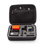 Amazonbasics Carrying Case For Gopro - Small