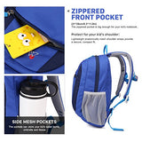 Mountaintop Kids Backpack/ Toddler Backpack/ Pre-School Kindergarten Toddler Bag