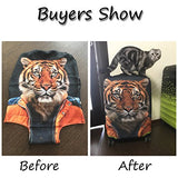 Freewander Luggage Covers Personalized Travel Suitcase Protective Elastic Skin (Medium(22''-26'')