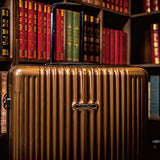 NaSaDen Suitcases with wheels Large luggage TSA Lock ABS+PC [Coffee Gold] 29-Inch German Design lightweight away luggage