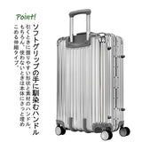 Ricardo Beverly Hills Aileron 24 Inch Spinner (Silver)