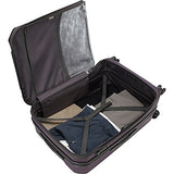 Delsey Luggage Shadow 3.0 2 Piece Hardside Spinner Carry On And Check In Luggage Set, Platinum