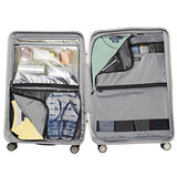Travelpro Crew 11 2 Piece Set (25" Hardside Spinner And Executive Backpack), Silver And Black
