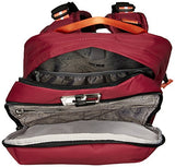 Pacsafe Vibe 25 Anti-Theft 25L Backpack, Dark Berry
