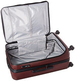 Delsey Luggage Cruise Lite Hardside 25" Exp. Spinner Trolley, Black Cherry