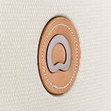 Delsey Luggage Chatelet 24 Inch Spinner Trolley (One size, Cream/Tan)