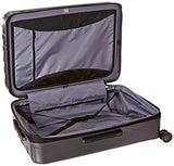 Delsey Luggage Helium Titanium 29 Inch Exp Spinner Trolley Metallic, Graphite, One Size