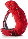 The North Face t92scn1sw 's Banchee Backpack, Red, One Size