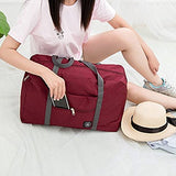 Cocoo Travel Foldable Waterproof Tote Bag Carry Storage Luggage Handbag (Wine1)