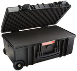 Amazonbasics Hard Camera Case - Large