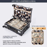 COTRUNKAGE Spinner Vintage Luggage PASCO Carry On Suitcase with TSA Lock (20", Black/Black)