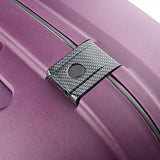 DELSEY Paris Belfort DLX 30" Checked Spinner, Purple