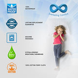 Everlasting Comfort 100% Waterproof Pillow Protector, Hypoallergenic, Breathable Membrane, Lifetime