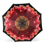 Abbott Collection Orange Marigold Stick Umbrella