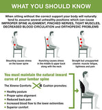 Memory Foam Back Cushion - Designed For Back Pain Relief - Lumbar Support Pillow With Premium