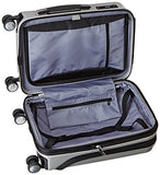 Delsey Luggage Helium Titanium International Carry-On Exp Spinner Trolley, Silver, One Size