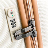 Delsey Chatelet Carry-on Spinner Trolley (24, Champagne)