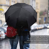 Compact Folding Travel Umbrella Windproof Waterproof,Winter,Auto Open Close Umbrella 42 Inch,Icy