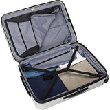 Delsey Luggage Titanium 2 Piece Hardside Spinner Carry on and Check in Luggage Set, One Size, Graphite