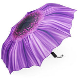Plemo Automatic Umbrellas, Windproof Purple Daisy Design Compact Folding Umbrellas with Anti-Slip