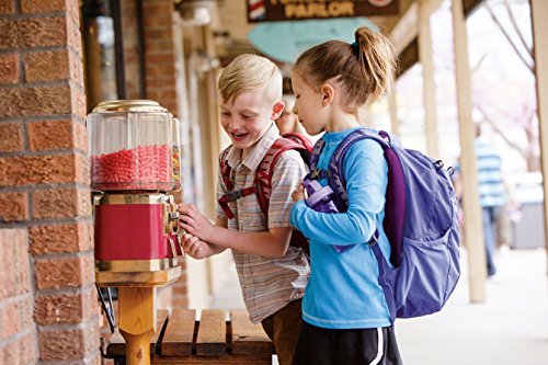 Shop Osprey Packs Kid'S Koby Daypack, Her – Luggage Factory