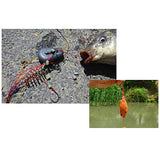 LIZHOUMIL 4Pcs Explosion Luminous Beads Fishing Hook Fishing Lure Bait Trap Feeder Cage Sharp Fishing Hook with Springs 9# (a Box of 2 Total 2 Boxes)