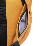 DELSEY Paris 15.6" Laptop, Yellow, 15.6 Inch Sleeve