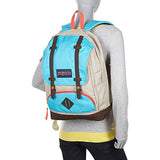 JanSport Cortlandt Backpack (Springing Garden)