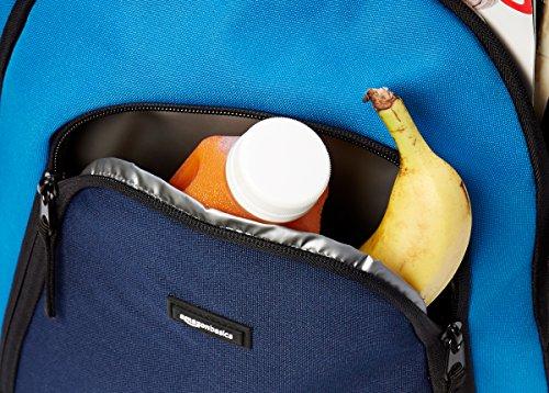Shop Amazonbasics Campus Backpack, Blue – Luggage Factory