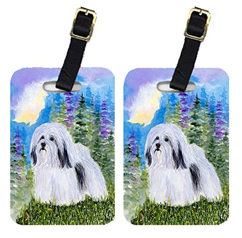 Carolines Treasures Ss1034Bt Havanese Luggage Tag - Pair 2, 4 X 2.75 In.
