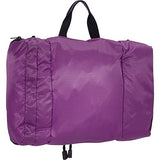 eBags Pack-it-Flat Large Hanging Toiletry Bag and Kit - (Eggplant)
