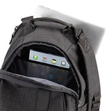 Case Logic Bpca-115 Berkley Plus 15.6-Inch Laptop + Tablet Backpack,Storm