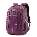 Samsonite Visor 2 Backpack Purple
