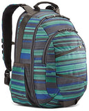 Case Logic Berkeley II Backpack (BPCA-315 Strato)