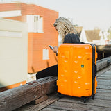 Lojel Carapace Frame Spinner Luggage