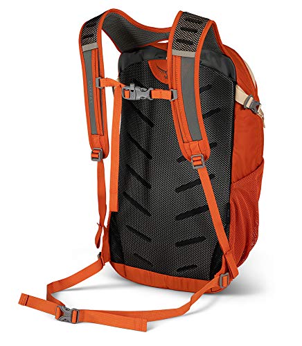 orange osprey daylite Shop Osprey Daylite Plus Daypack, Desert Oran – Luggage Factory